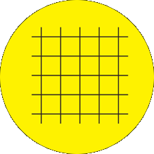 Safety Nets